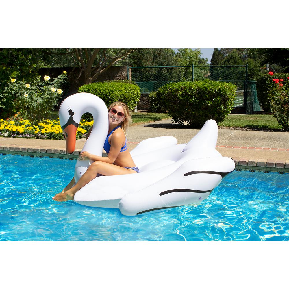ugly swan float