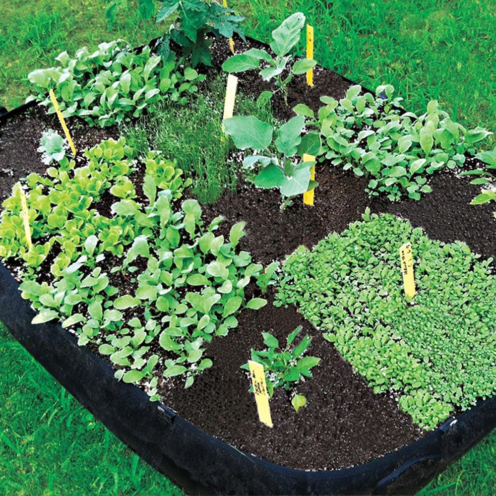 Gardens Alive 3 Ft X 4 10 Raised Garden Grow Tub Kit Gardens Alive 3 Ft X 4 10 Raised Garden Grow Tub Kit