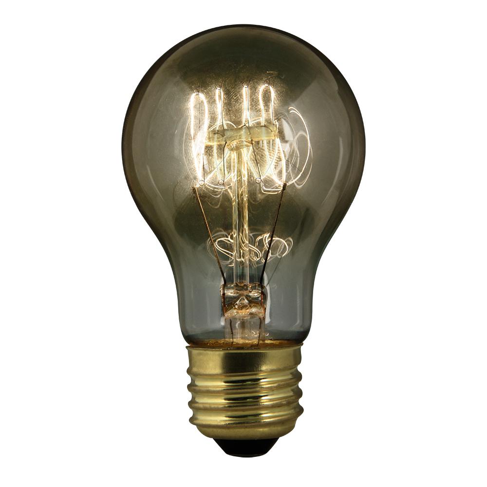 Philips 40Watt R16 Incandescent Spot Light Bulb Soft White (2700K