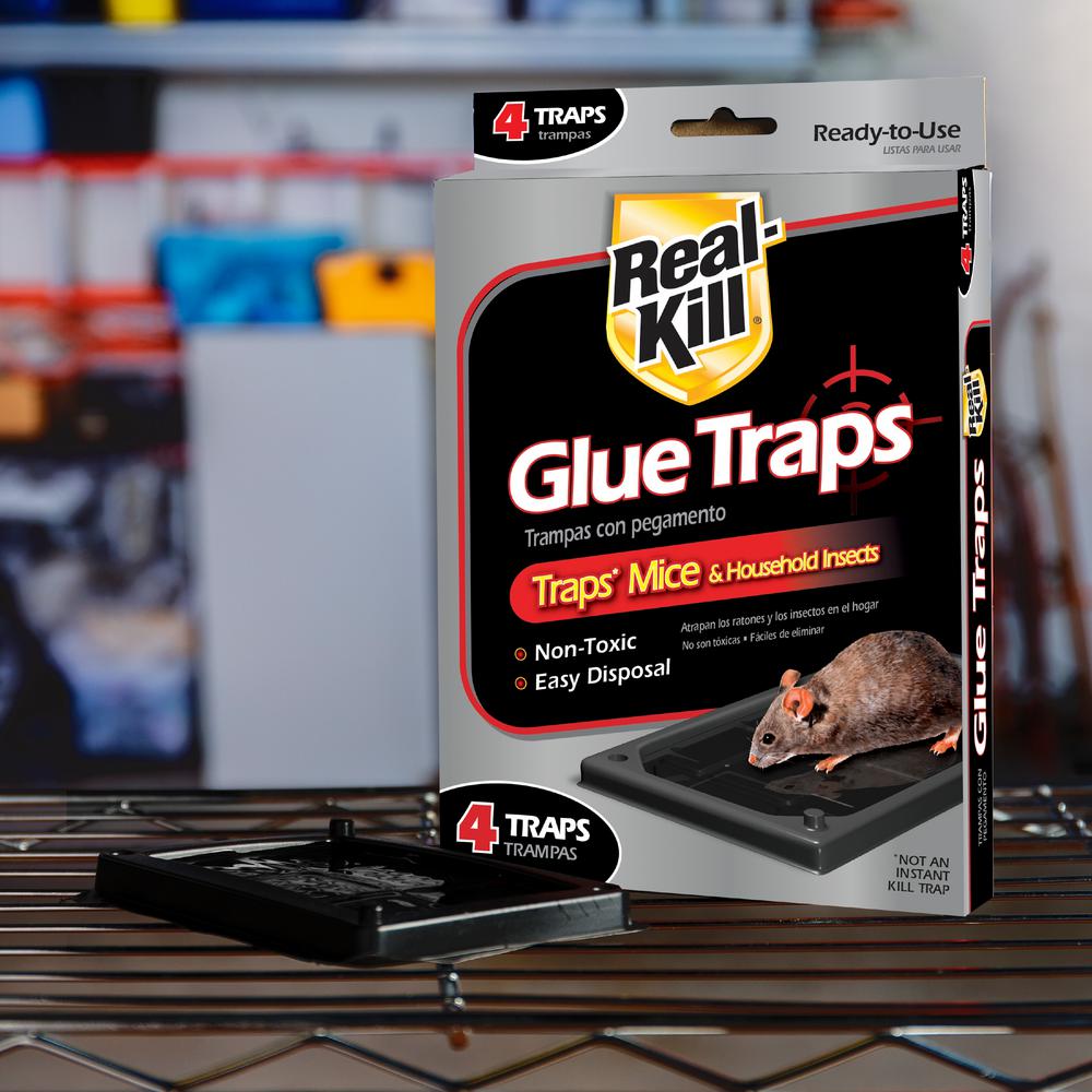 best sticky mouse traps