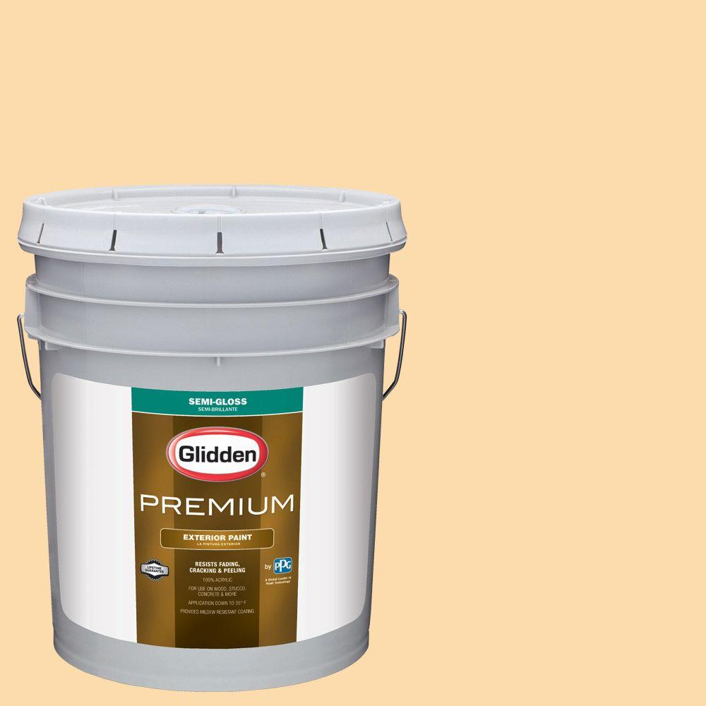 Glidden Premium 5-ga