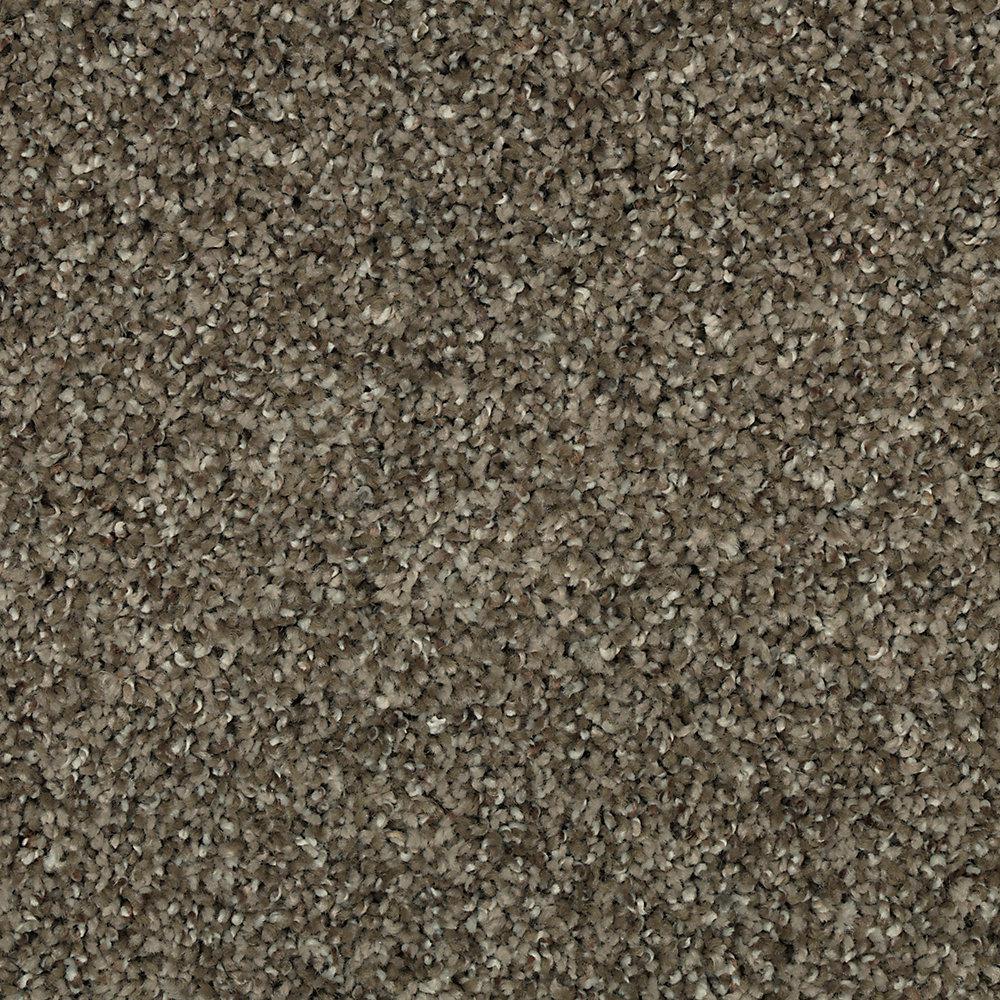Mohawk Carpet Sample Barx I Color Weathered Wood Textured 8 in. x 8