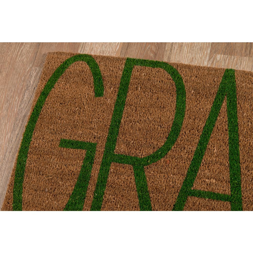 Aloha Grass 1 Ft 6 In X 2 Ft 6 In Door Mat Alohaalo17nat1626