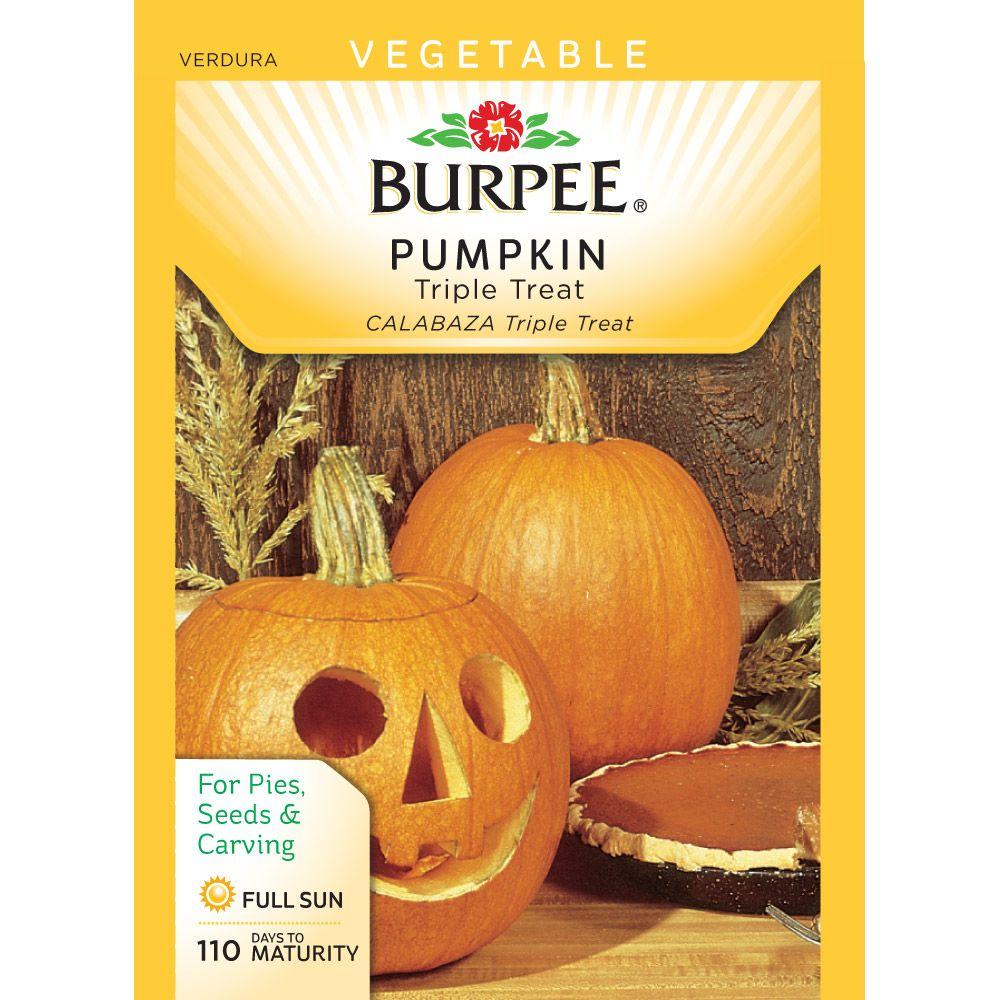 Burpee Triple Treat Pumpkin Seed65850 The Home Depot