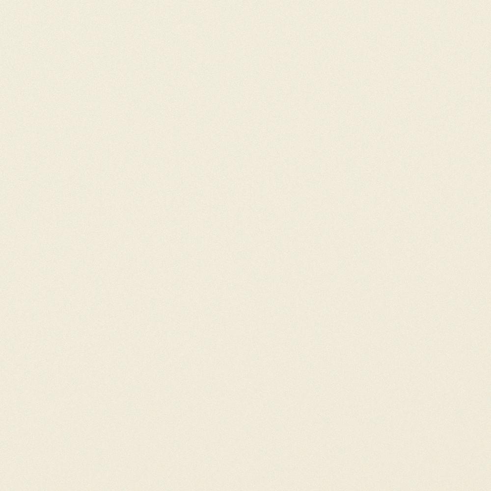 Andersen A Series Interior Color Sample In Painted Birch Bark On Pine 9118795 The Home Depot Andersen A Series Interior Color Sample In Painted Birch Bark On Pine 9118795 The Home Depot