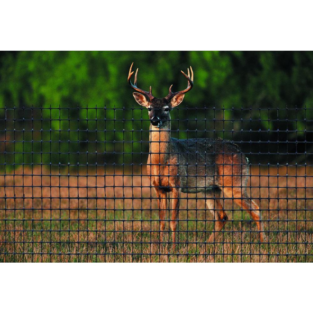 black deer fence