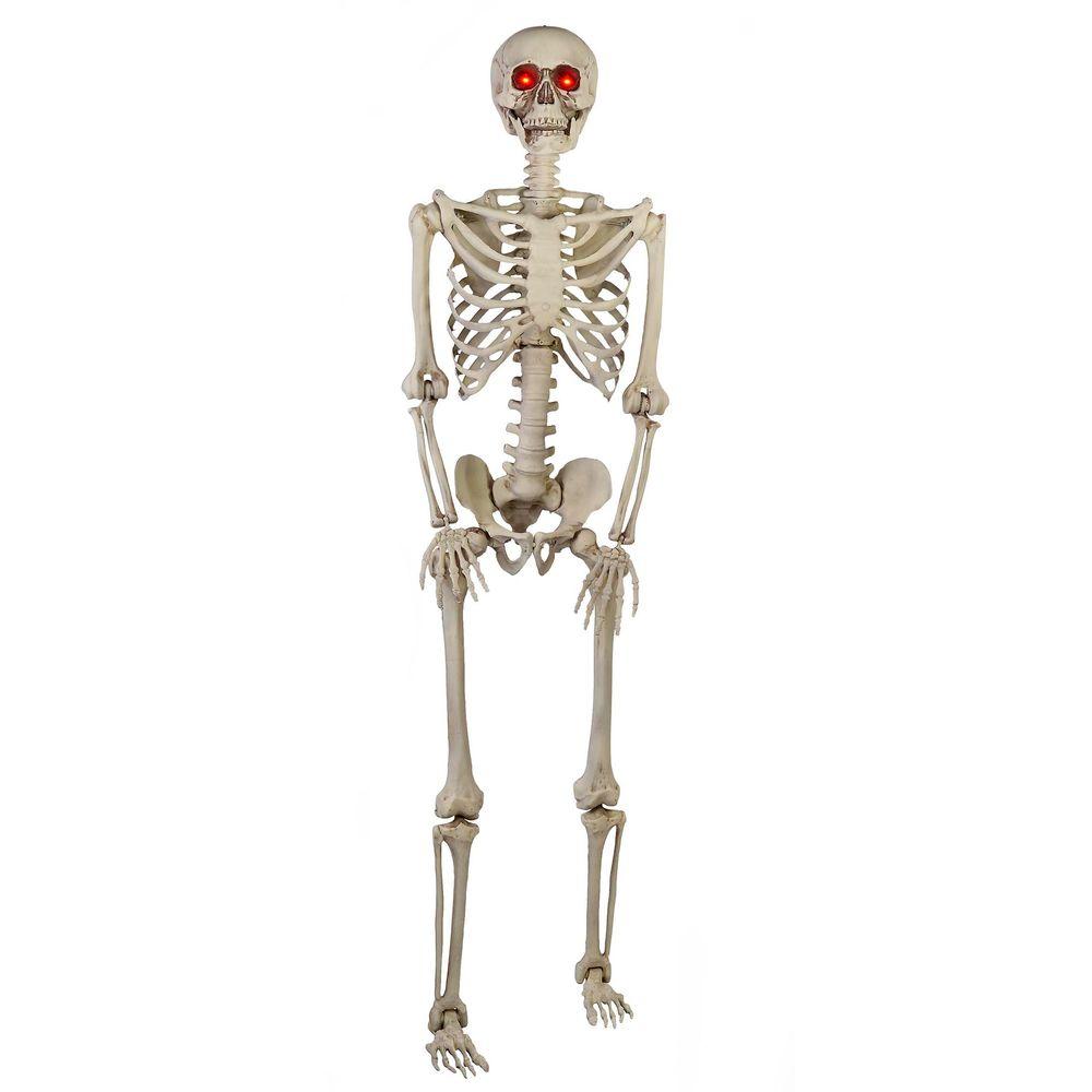 Image result for skeletons