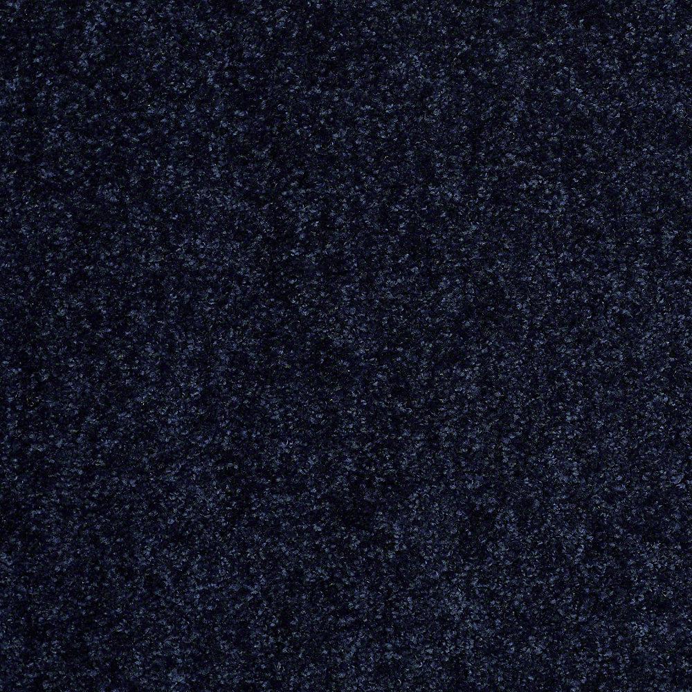Trafficmaster Alpine Color Truth Texture 12 Ft Carpet Hdd8585403 Alpine Color Truth Texture 12 Ft Carpet
