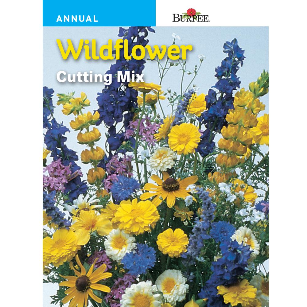 Bur Cutting Mix Wildflower Seed 44750 The Home Depot Bur Cutting Mix Wildflower Seed