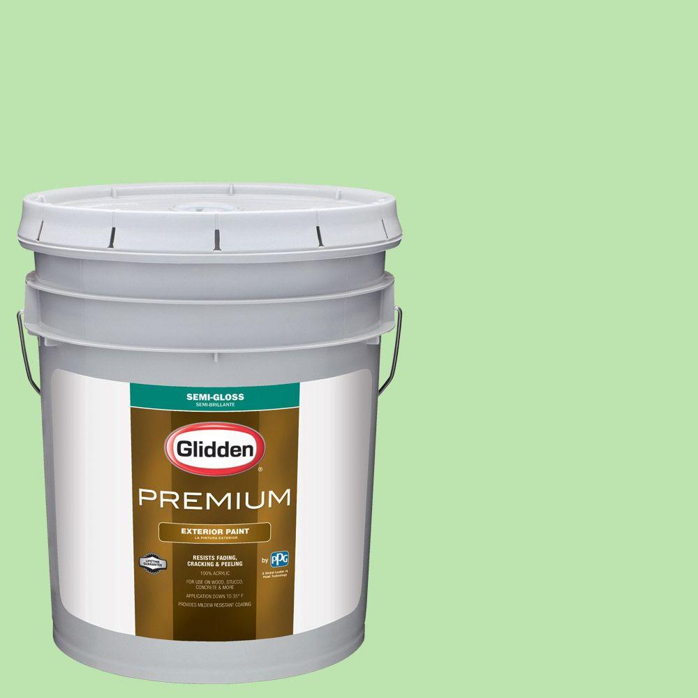 Glidden Premium 5gal. HDGG41 Window Garden Green Semi