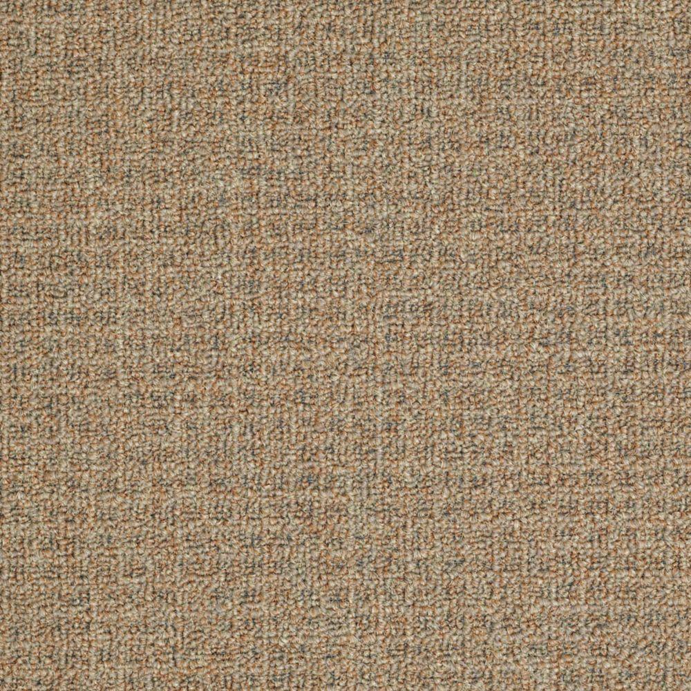 TrafficMASTER Fallbrook Color Willow Winds 12 ft. CarpetHDB6666300