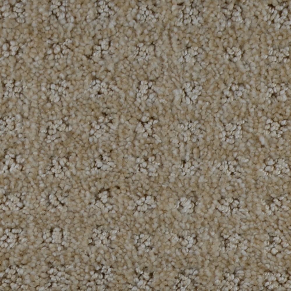 Home Decorators Collection Carpet Sample Traverse Color Carnegie