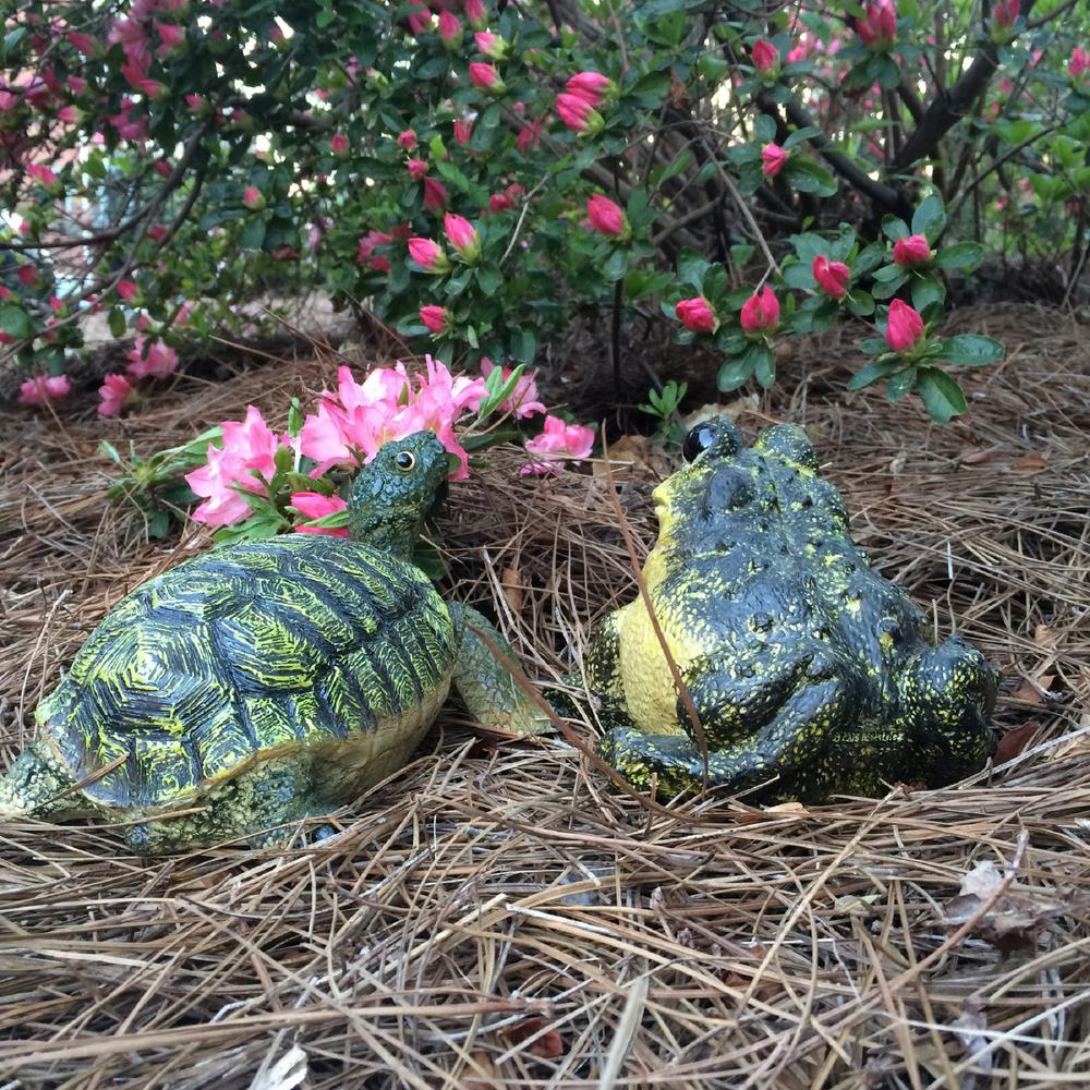 turtle sandbox home depot