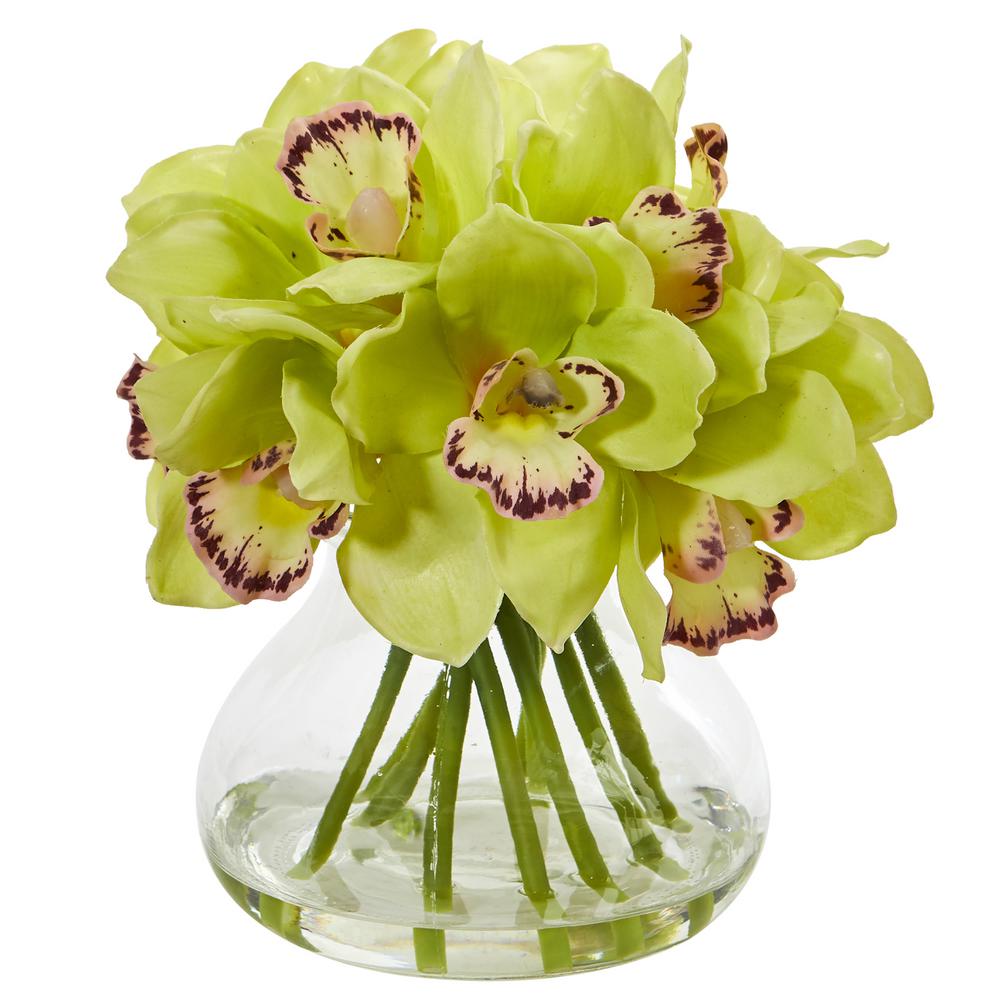 cymbidium