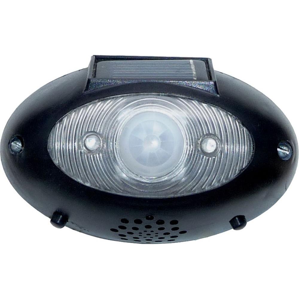 Homebrite Solar Eyewatch Outdoor Wireless Black Led Lighted Eyewatch Outdoor Wireless Black Solar Led Lighted Security Motion Alarm Detector