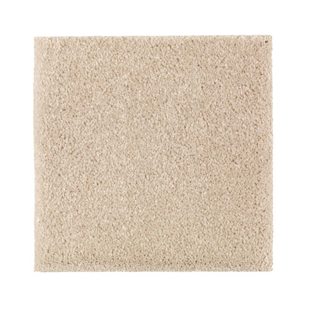 Petproof Bluff Color First Choice Texture 12 Ft Carpet 063 25 Bluff Color First Choice Texture 12 Ft Carpet