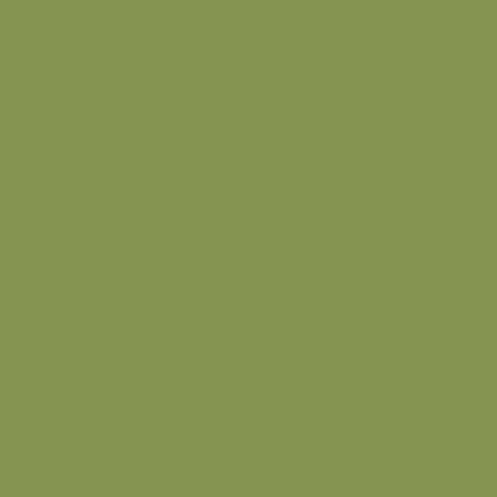 eden-rust-oleum-painter-s-touch-2x-general-purpose-spray-paint-257418-76_145.jpg