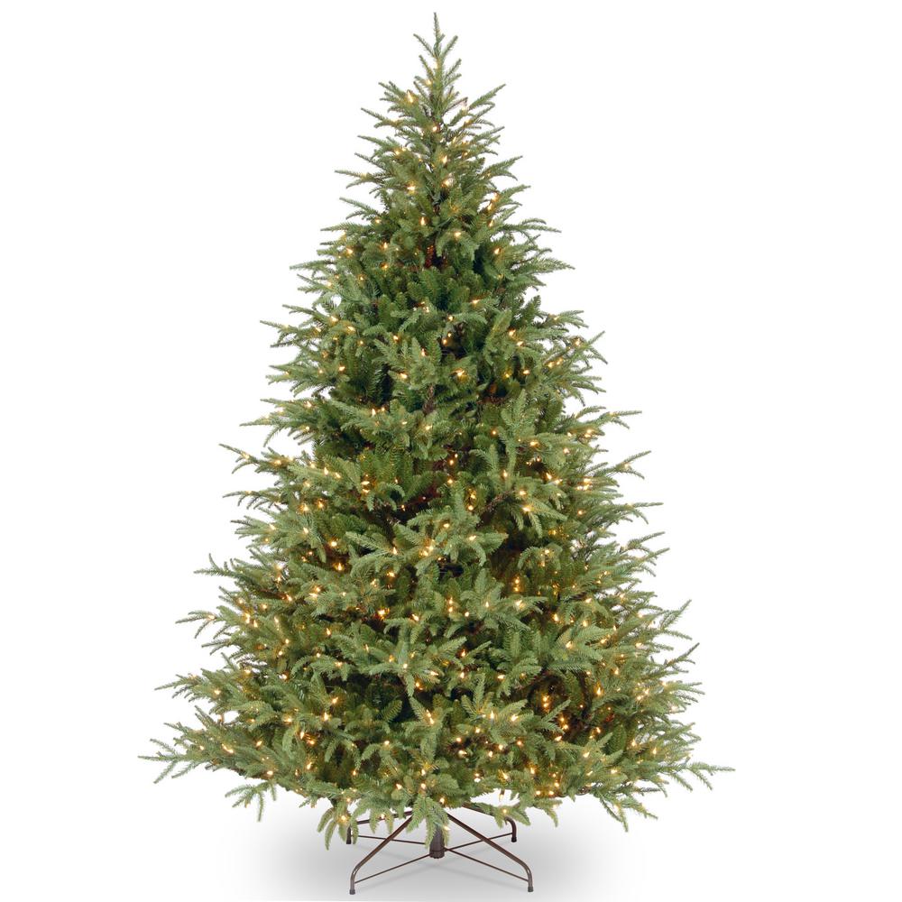 National Tree Co. 7 ft. Frasier Grande Tree with LED Lights, Green