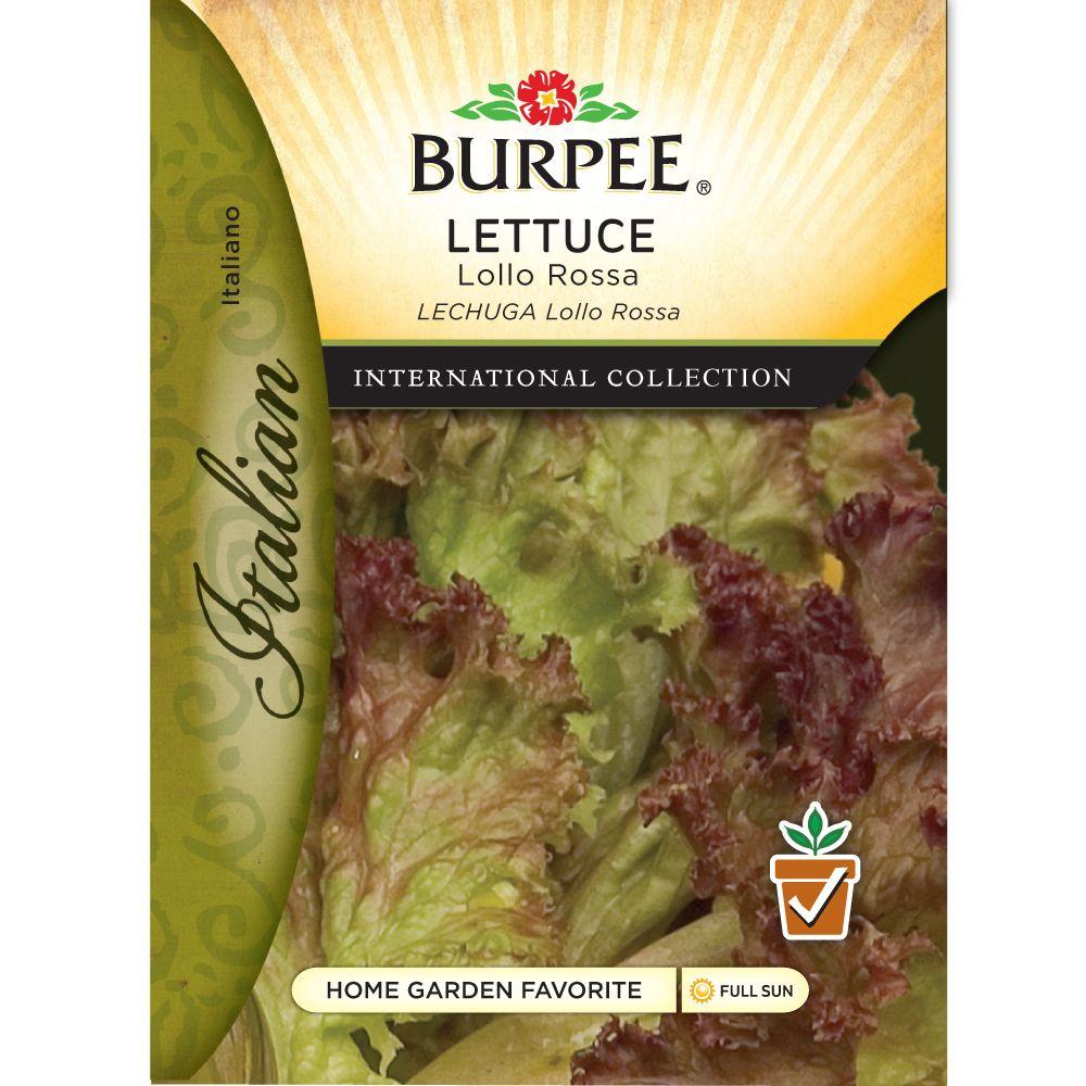 Italian Lettuce Lolla Rossa Seed69615 The Home Depot
