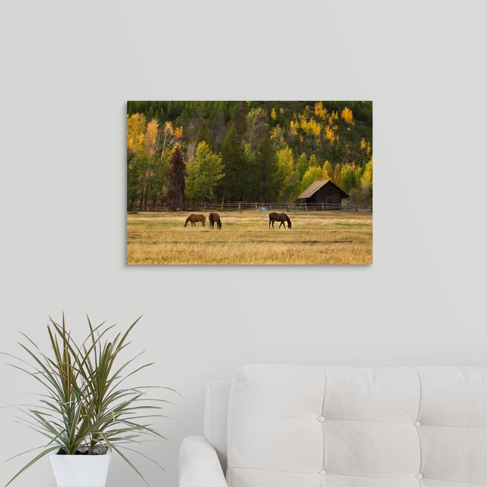 Greatbigcanvas 24 In X 16 Western Horses Jackson Hole