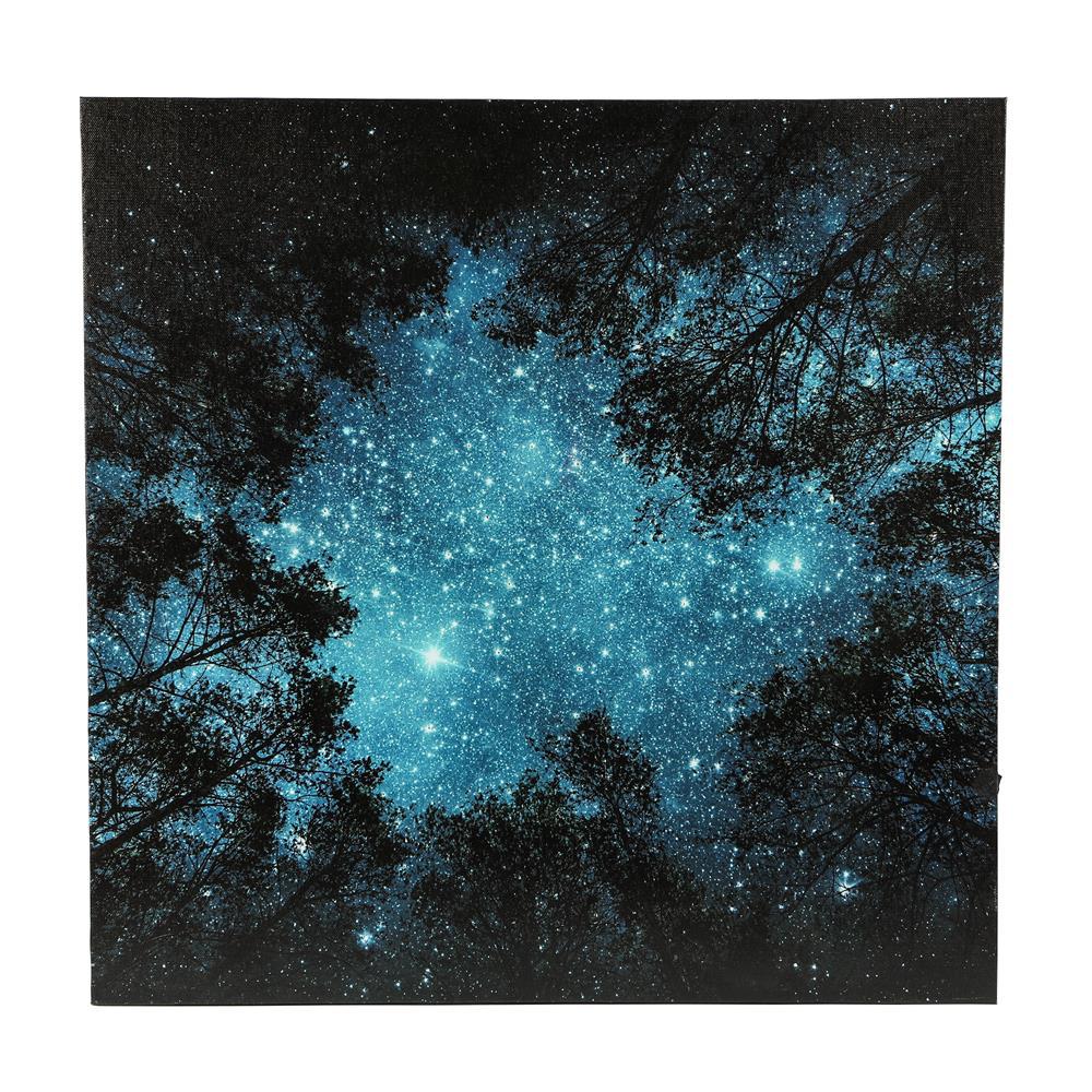 Luxen Home Starry Night Sky Canvas Print Wall Art With Led Lights Wha663 The Home Depot