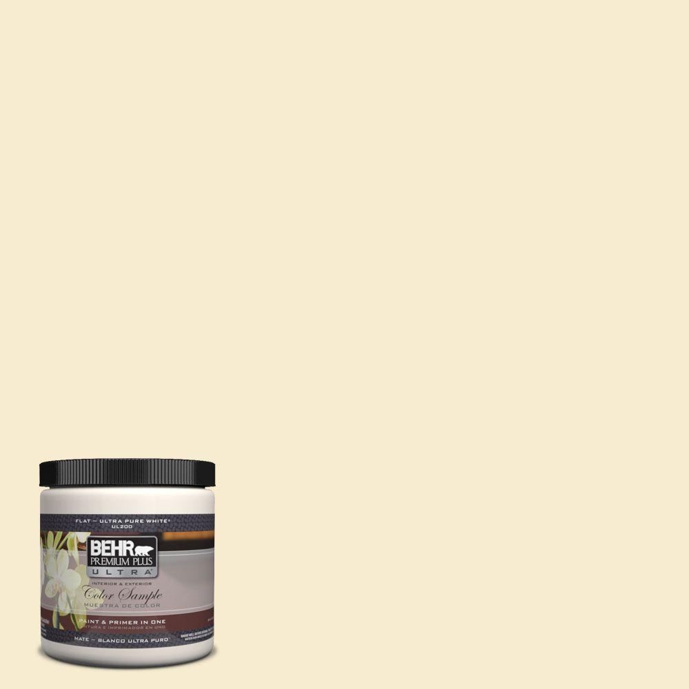 Behr Premium Plus Ultra 8 Oz 380e 2 Lightning White Matte Interior 380e 2 Lightning White Matte Interior Exterior Paint And Primer In One Sample