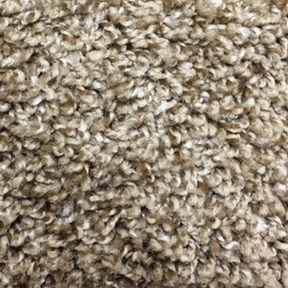 Trafficmaster Carpet Bios Pics