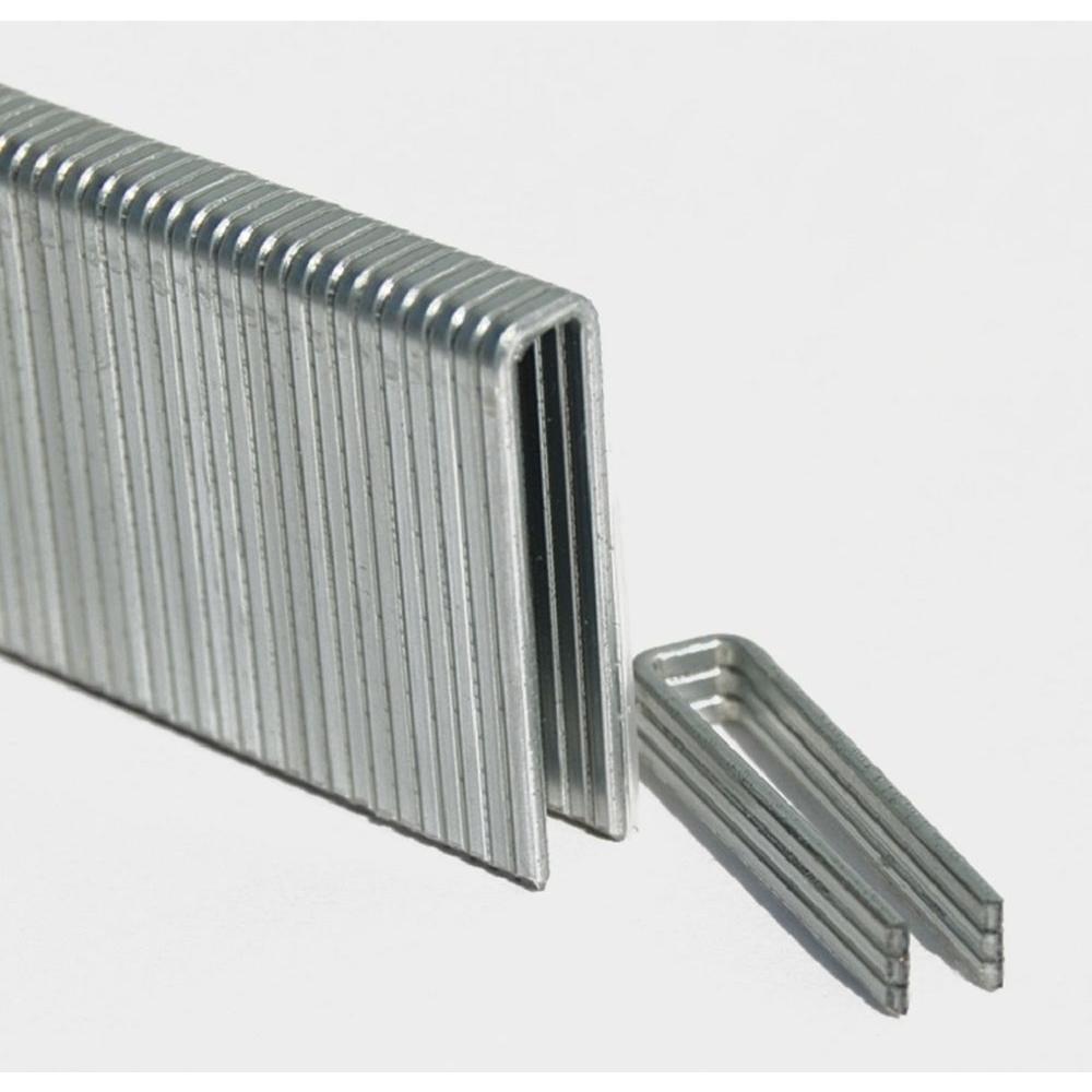 Arrow Fastener T50 3/8 in. Crown 16Gauge Stainless Steel Staples (1000