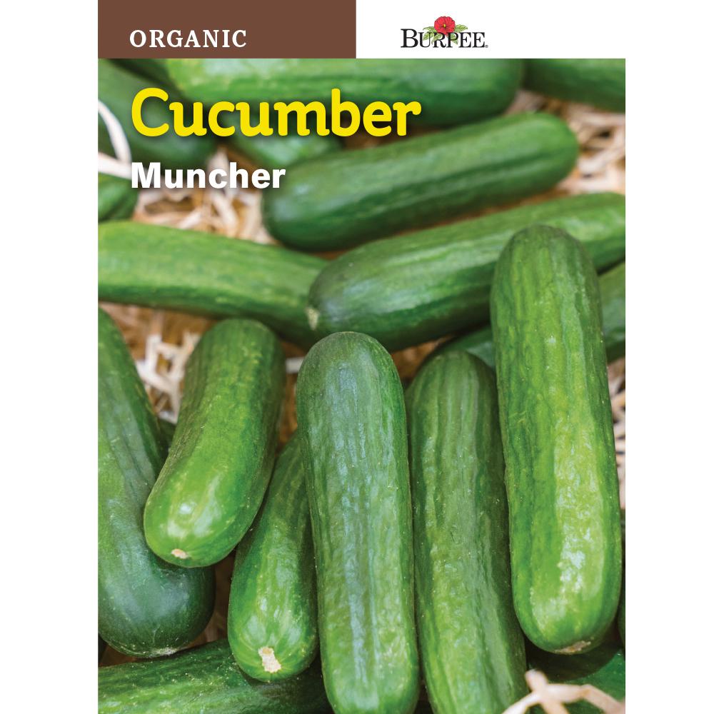 Burpee Muncher Organic Cucumber Seed 60879 The Home Depot