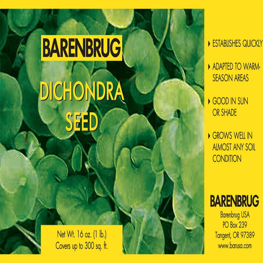 Barenbrug 1 lb. Dichondra Grass Seed37301 The Home Depot