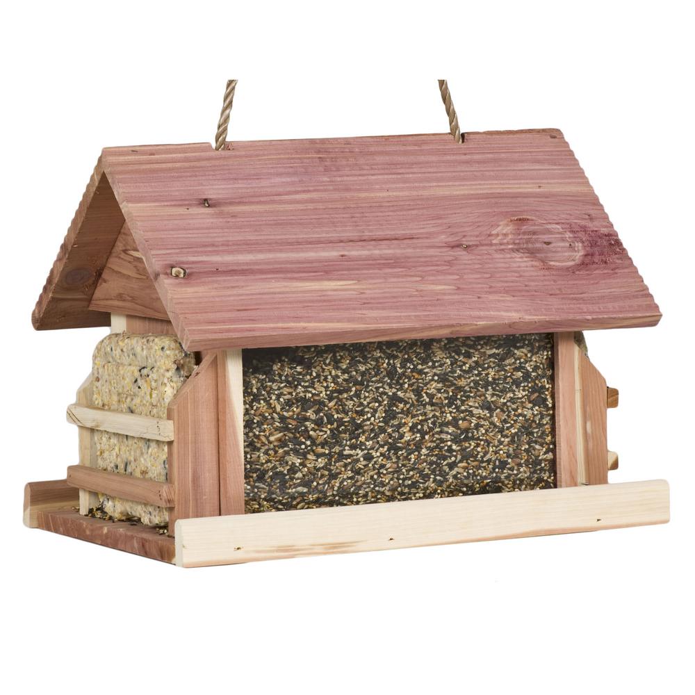 bluebird feeder home depot