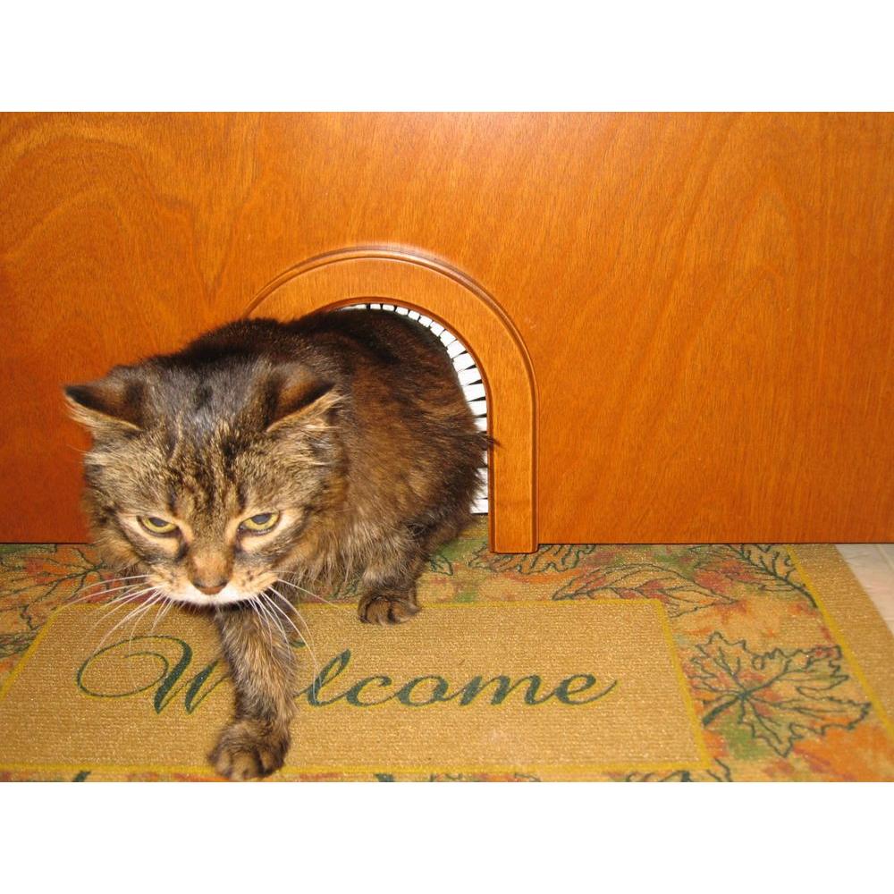 Arch Shaped Interior Pet Cat Door 5 5 X6 5 Removable Brush Hides