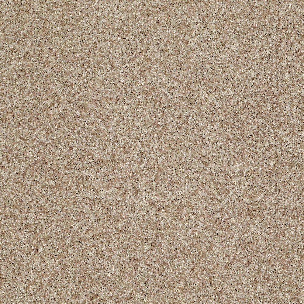  Home Decorators Collection Carpet  Sample Opulence In 