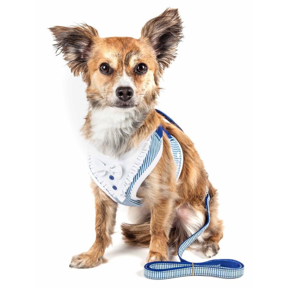 small dog harness and leash