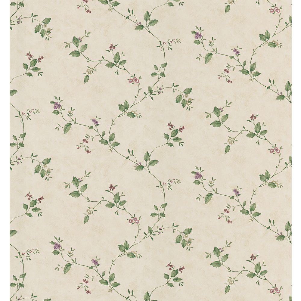 Breathtaking Home Depot Flower Seeds Background Illustration Breathtaking Home Depot Flower Seeds Background Illustration