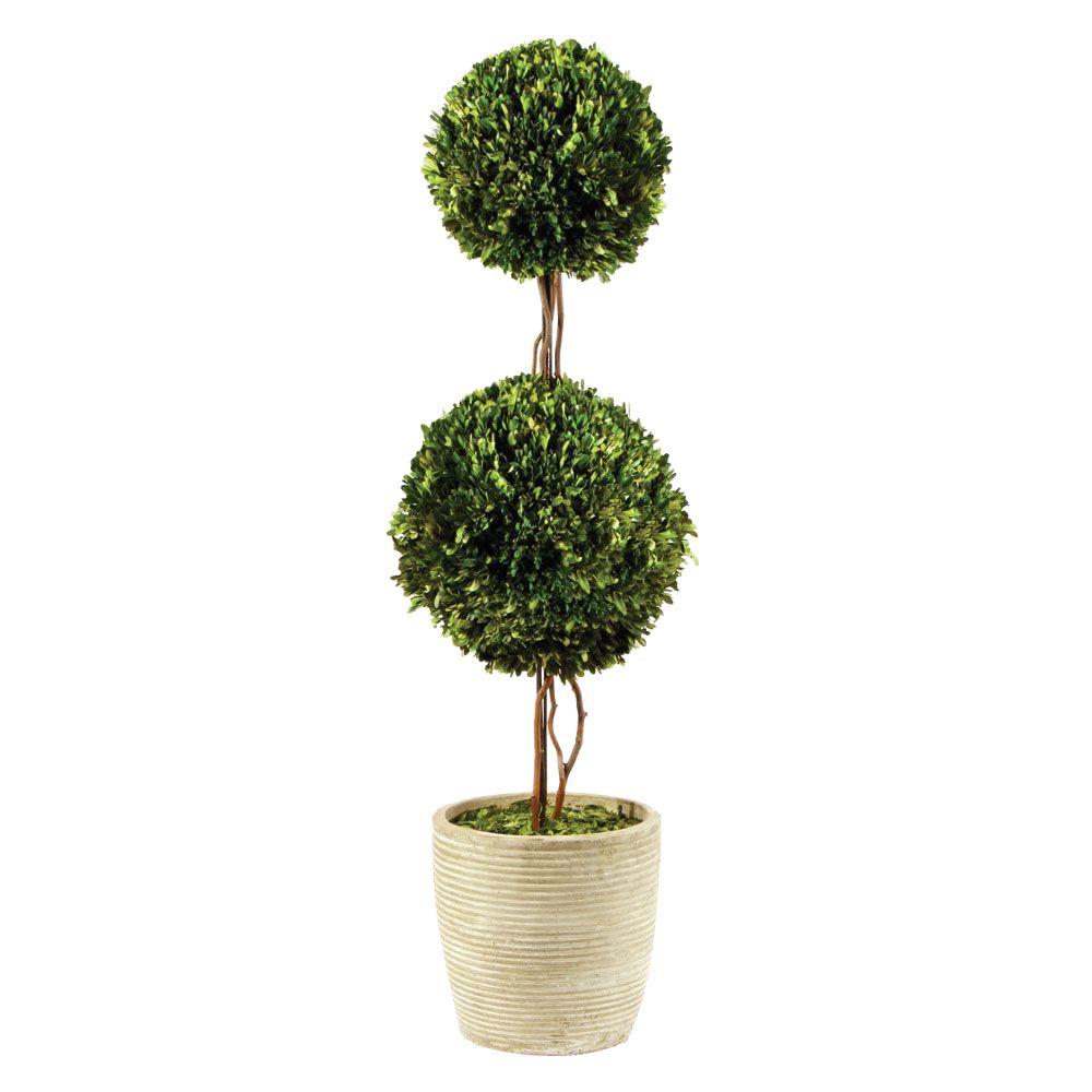 Willow Park 52 in. Preserved Boxwoods Topiary-7531PG - The Home Depot