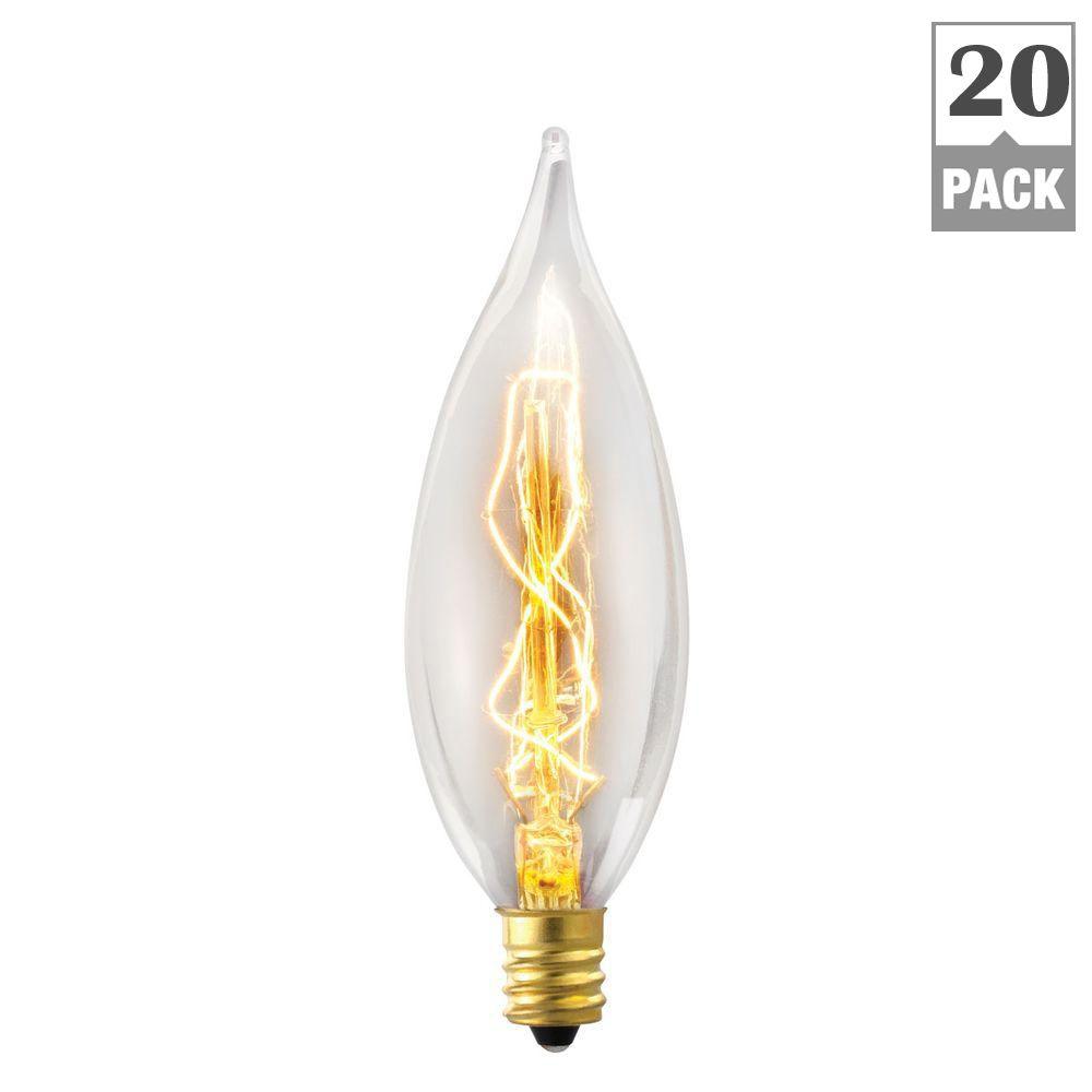 Philips 250Watt 120Volt BR40 Incandescent Heat Lamp Light Bulb416743