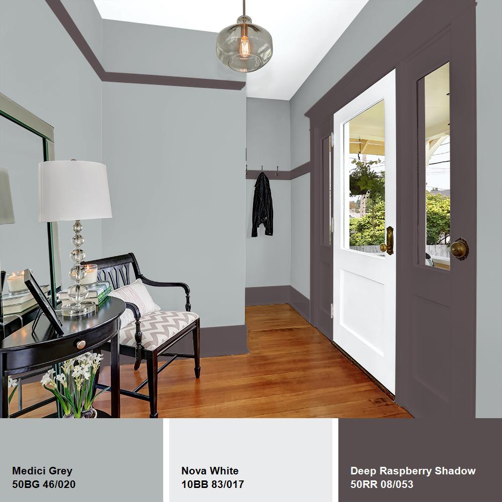 Medici Grey Eggshell 1Gal Interior Paint Latex Formula LowOdor Easy