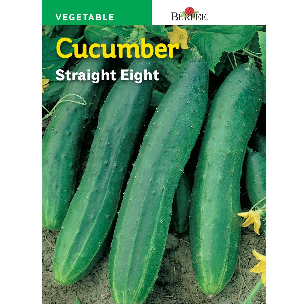 Burpee HL Cucumber Straight 8-Seed-60337 - The Home Depot