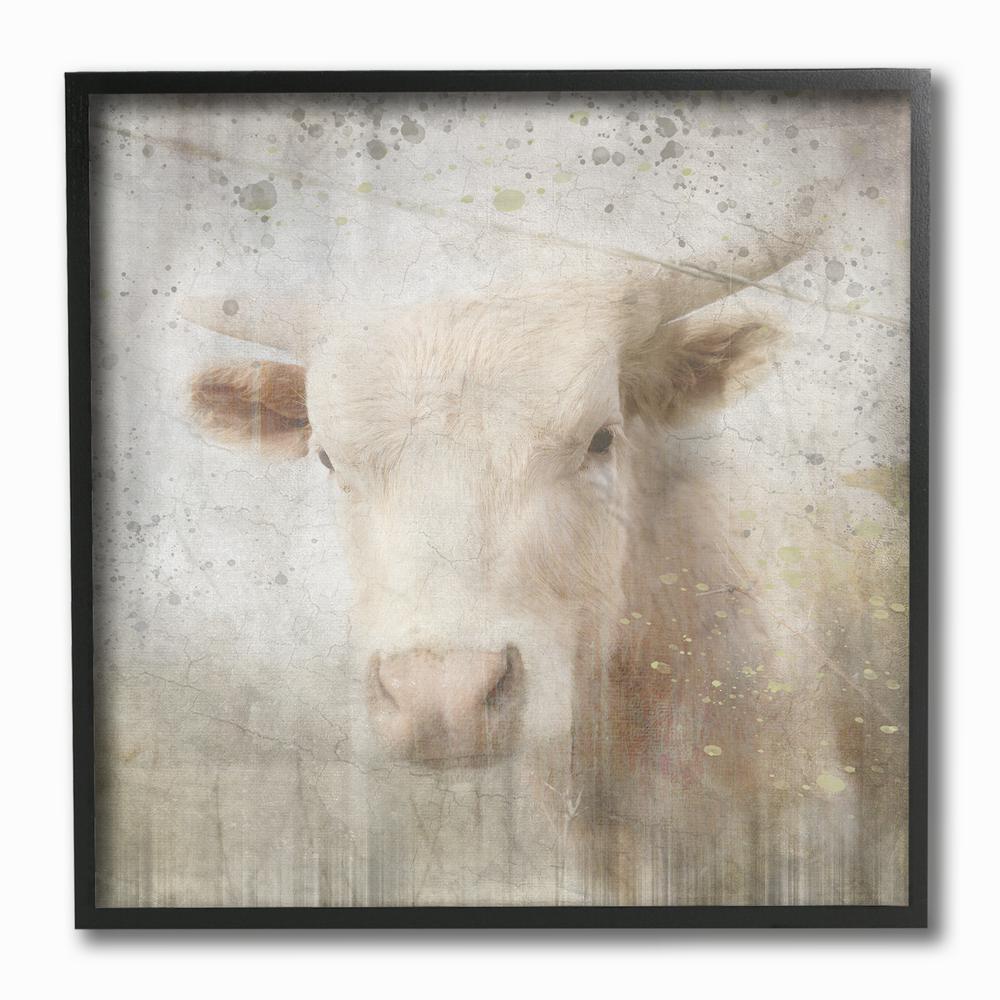 The Stupell Home Decor Collection 12 In X 12 In Washed Out