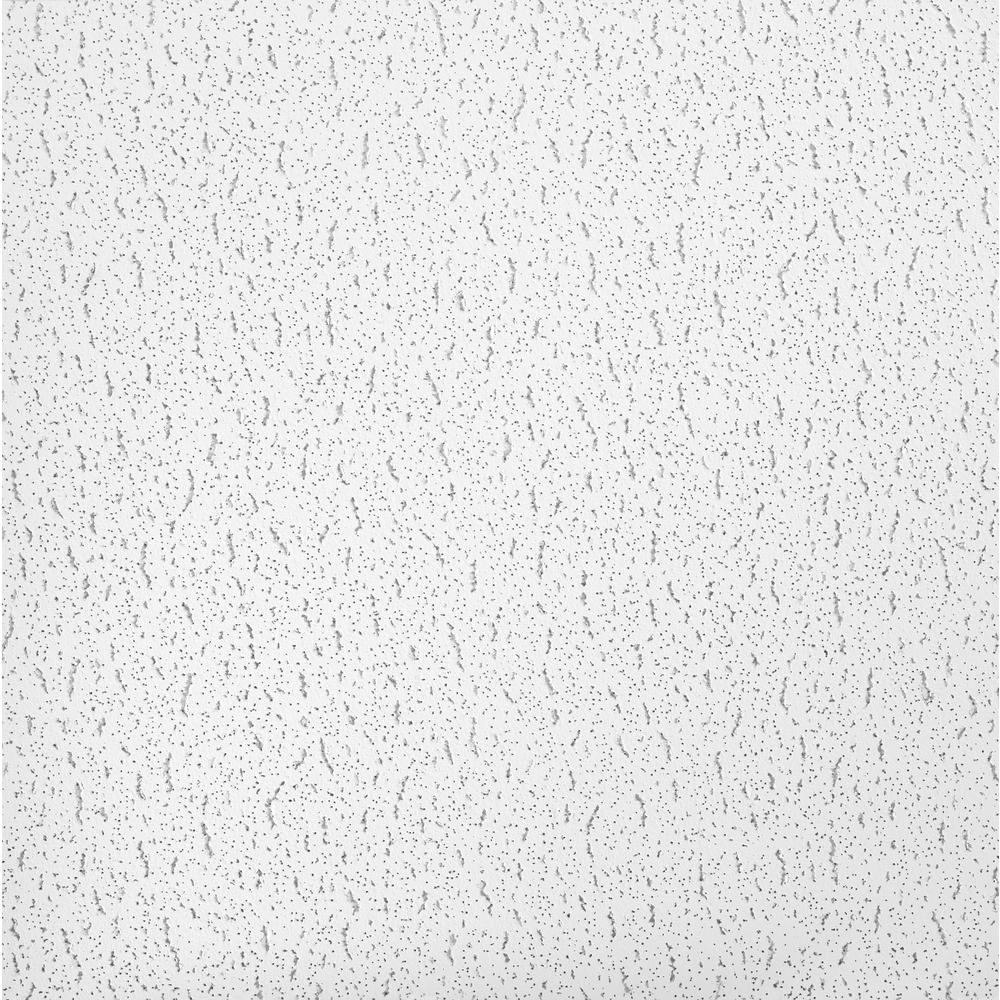 Armstrong Ceilings Textured 2 Ft X 2 Ft Lay In Ceiling Panel Case Of 16 949 The Home Depot 