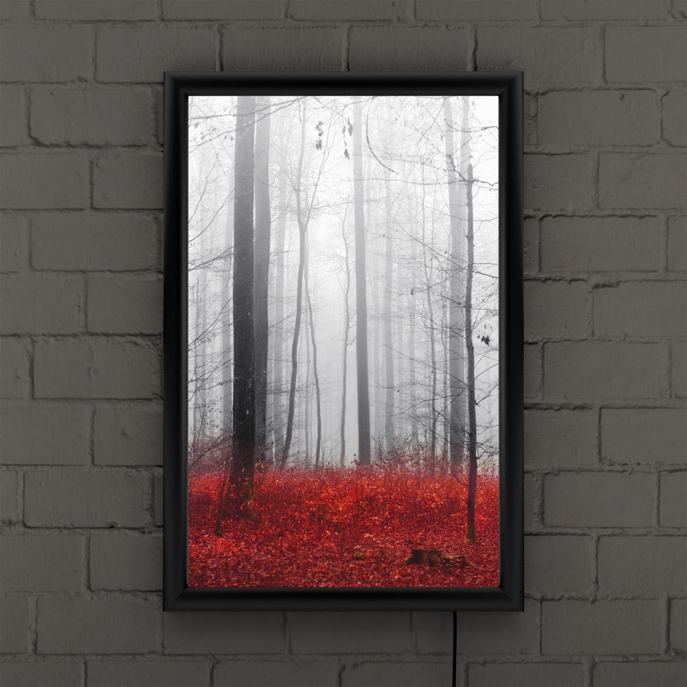 Trademark Fine Art Little Red Carpet By Philippe Sainte Laudy Framed With Led Light Landscape Wall Art 24 In X 16 In Psl0273 B Led The Home Depot