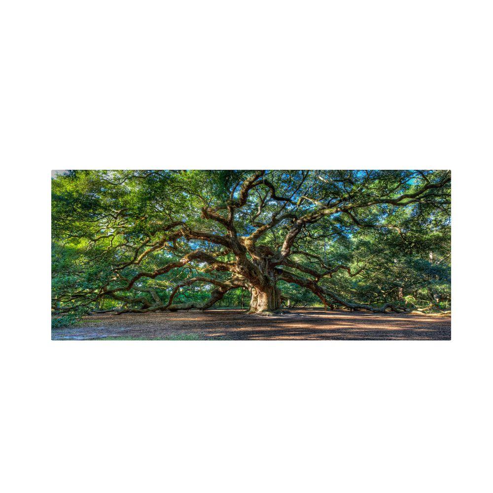 Trademark Fine Art 24 In X 47 Angel Oak Charleston Canvas Angel Oak Charleston Canvas Art