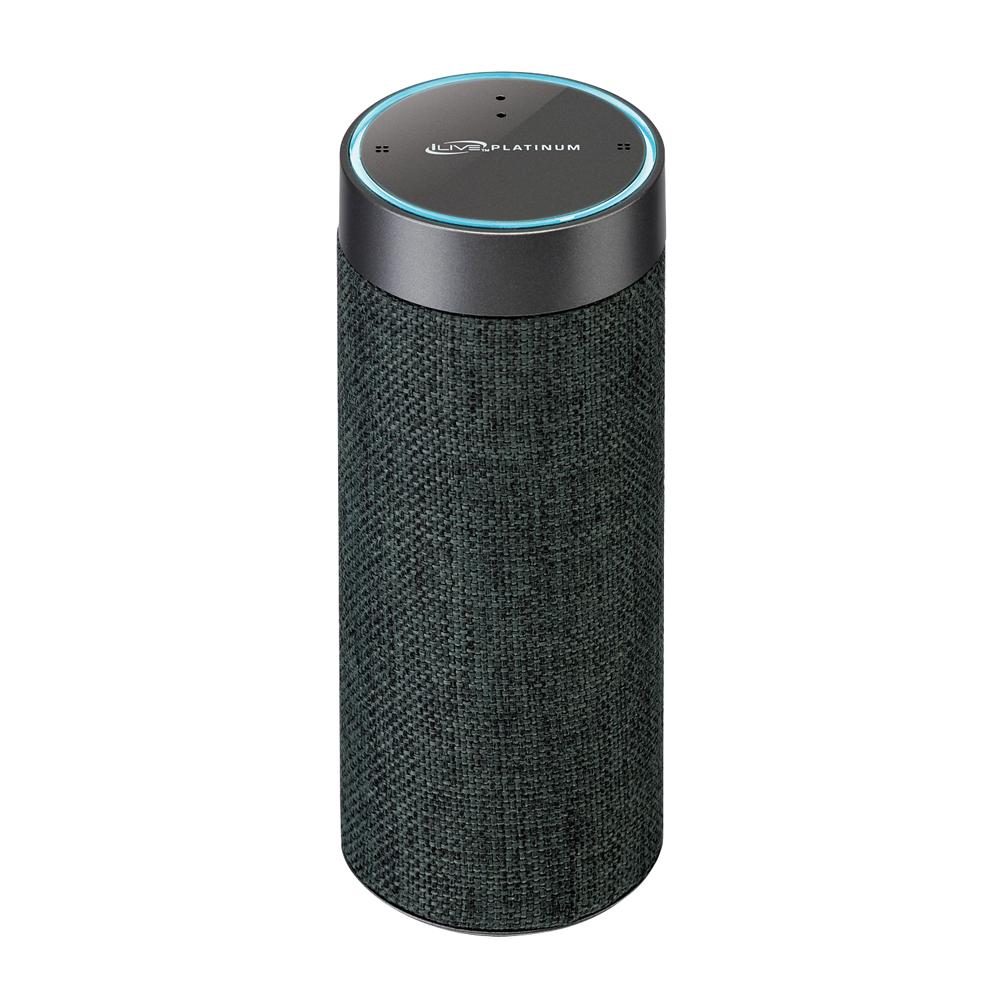 bluetooth speakers that connect to alexa