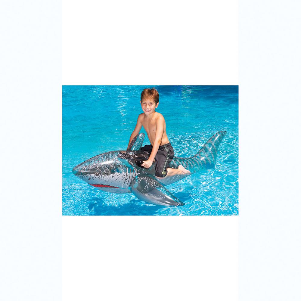 shark pool float