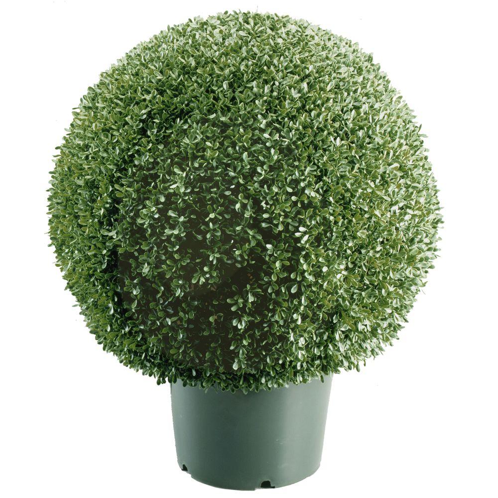 National Tree Company 22 in. Mini Boxwood Ball Shaped Artificial