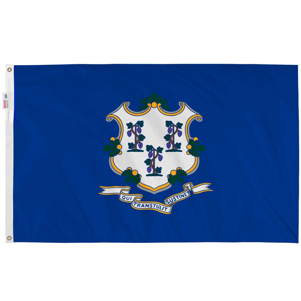 Valley Forge Flag 3 ft. x 5 ft. Nylon Connecticut State Flag-CT3 - The Home Depot