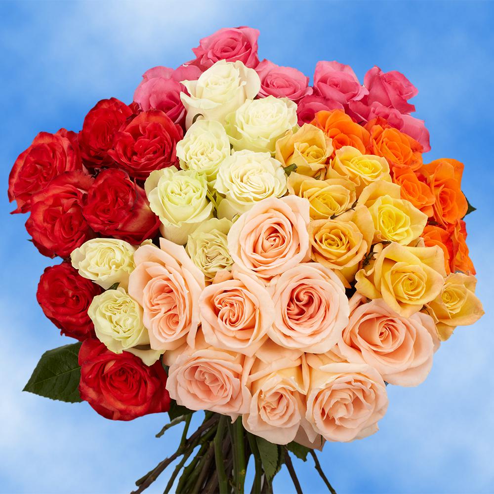 Globalrose 50 Assorted Roses- Fresh Flower Delivery- 2 ...