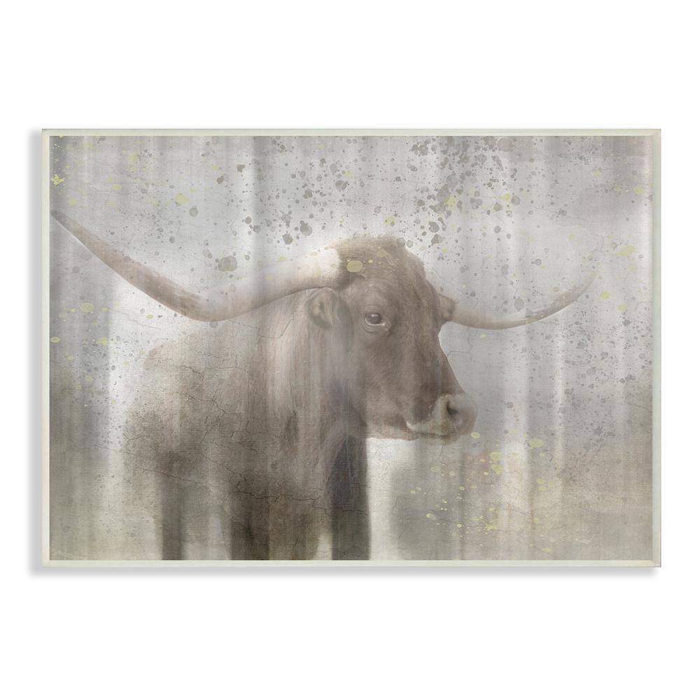 10 In X 15 Washed Out Distressed Surface Rustic Bull By Light Box Journal Wood Wall Art