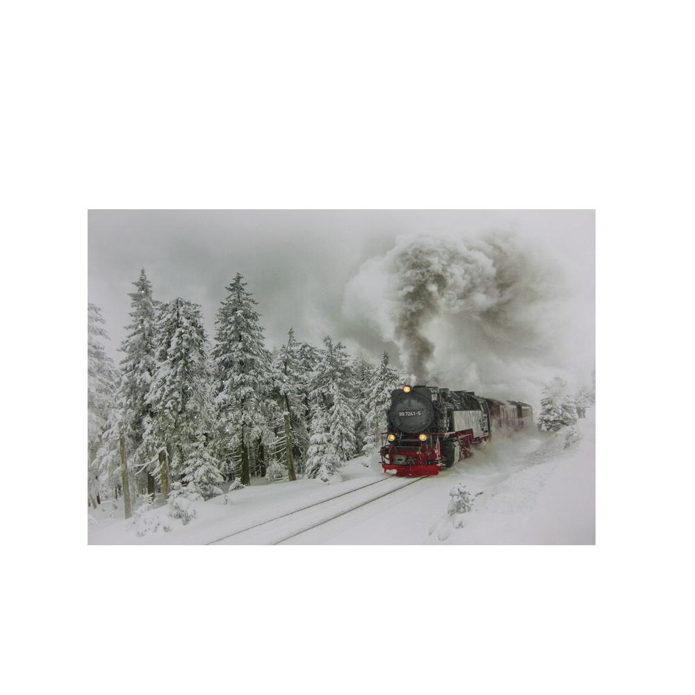 Northlight 12 In X 15 75 In Small Fiber Optic And Led Lighted Winter Woods With Train Canvas Wall Art 32621287 The Home Depot